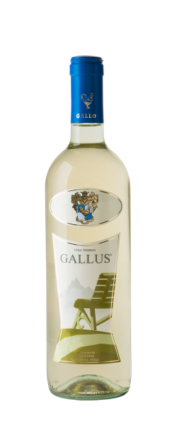 Bianco Gallus